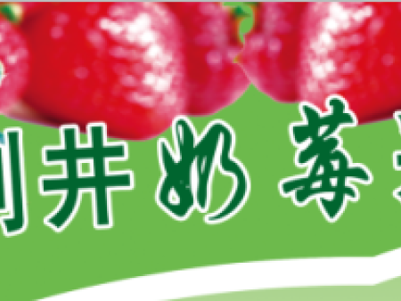 王府刘井草莓采摘