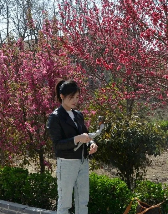 桃花节