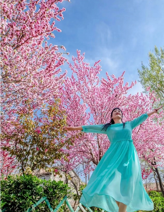 桃花节